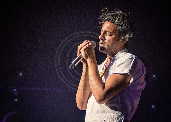 Young the Giant