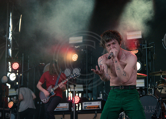 Cage the Elephant
