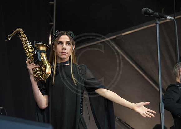PJ Harvey
